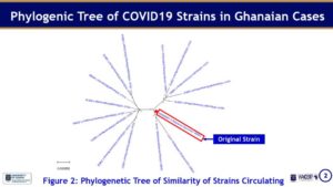 successful sequencing of SARS-COV-2 virus genomes from Ghanaian COVID-19 cases